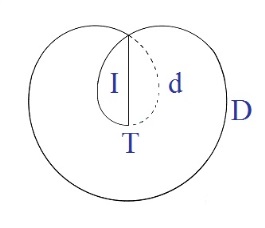 C:\Users\Alain\Desktop\Lacan séminaires\Ressources\Doc S12b\16.jpg