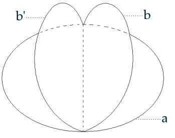 C:\Users\Alain\Desktop\Lacan séminaires\Ressources\Doc S12b\25.jpg