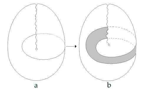 C:\Users\Alain\Desktop\Lacan séminaires\Ressources\Doc S13 b\Doc S13\10.jpg
