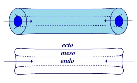 C:\Users\Alain\Desktop\Lacan séminaires\Ressources\Doc S24\11.jpg