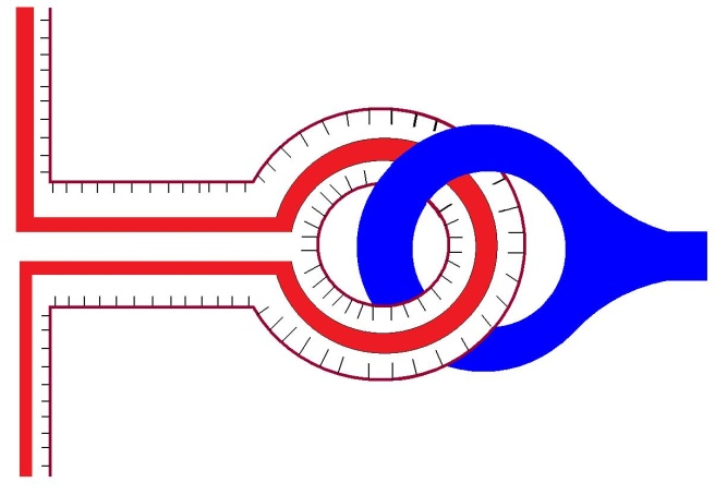 95.jpg